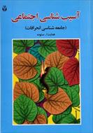 پاورپوینت فصل سیزدهم کتاب آسیب شناسی اجتماعی (خودکشی) نوشته هدایت الله ستوده